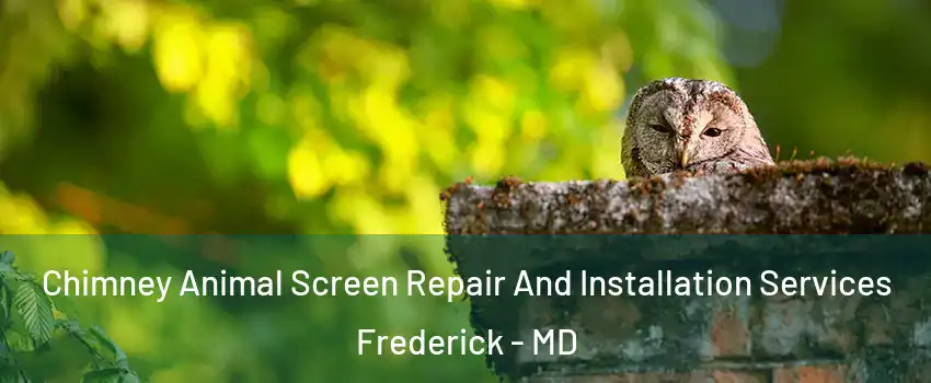  Chimney Animal Screen Repair And Installation Services Frederick - MD