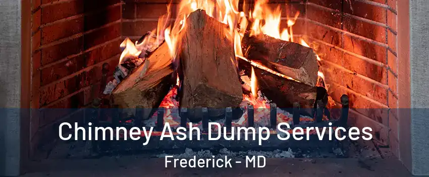  Chimney Ash Dump Services Frederick - MD
