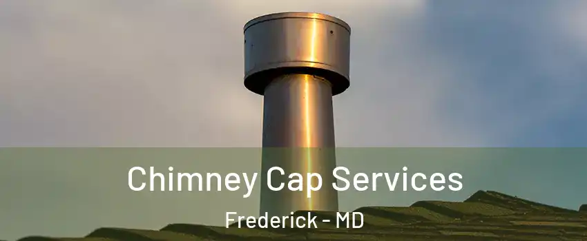  Chimney Cap Services Frederick - MD