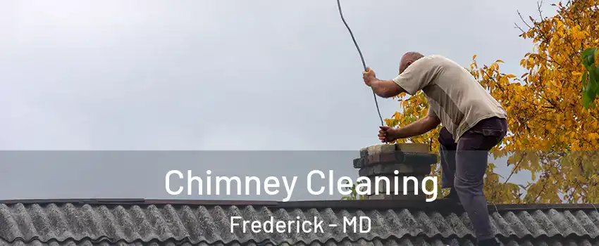  Chimney Cleaning Frederick - MD