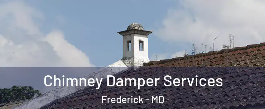  Chimney Damper Services Frederick - MD