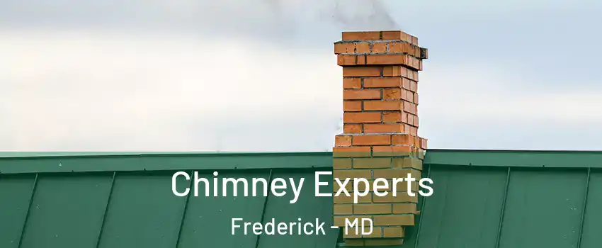 Chimney Experts Frederick - MD