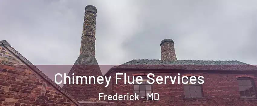  Chimney Flue Services Frederick - MD