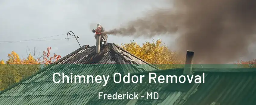  Chimney Odor Removal Frederick - MD