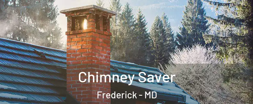  Chimney Saver Frederick - MD