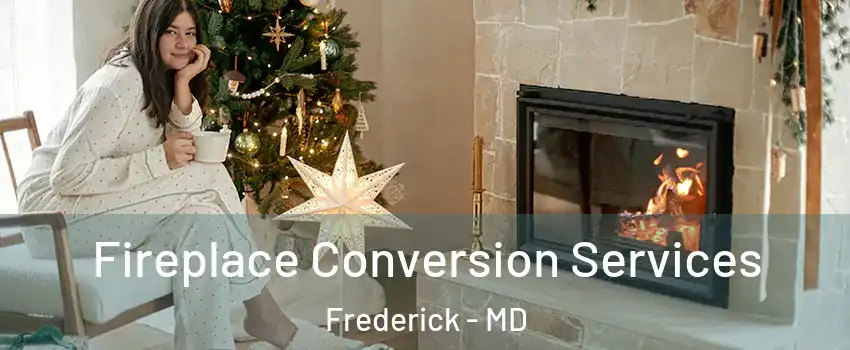  Fireplace Conversion Services Frederick - MD