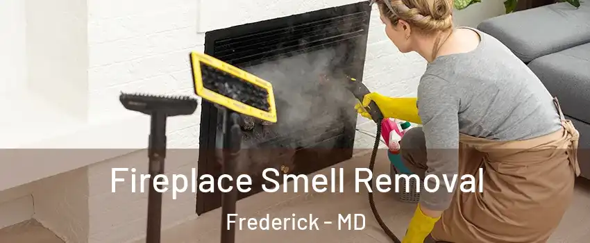  Fireplace Smell Removal Frederick - MD