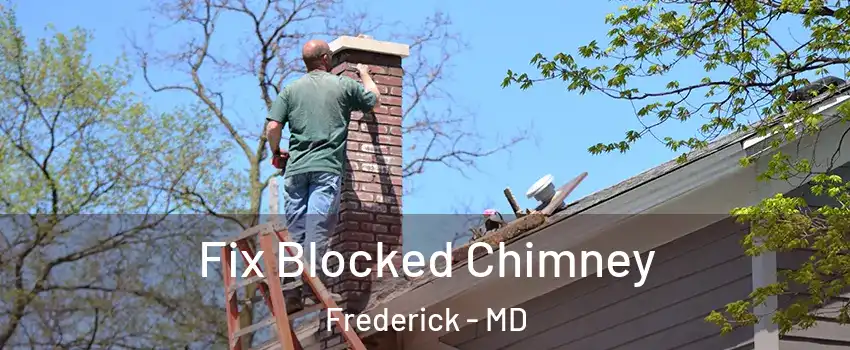  Fix Blocked Chimney Frederick - MD