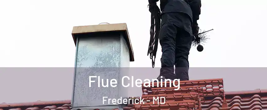  Flue Cleaning Frederick - MD