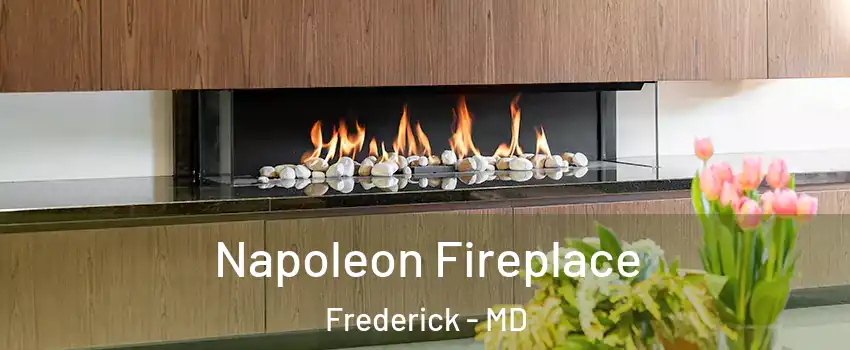  Napoleon Fireplace Frederick - MD