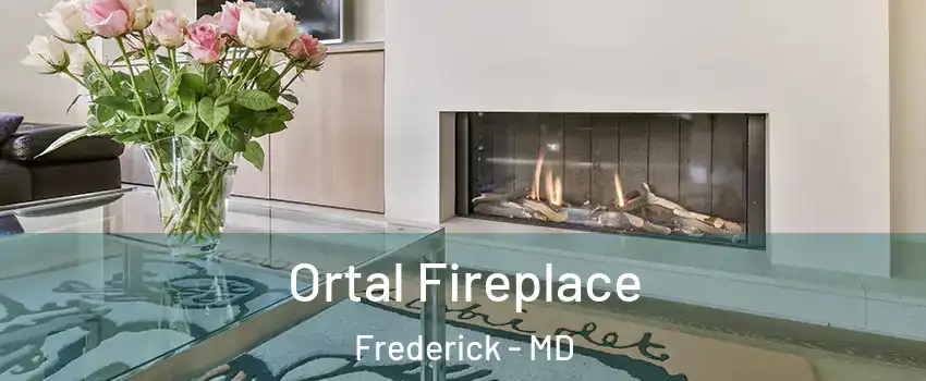Ortal Fireplace Frederick - MD